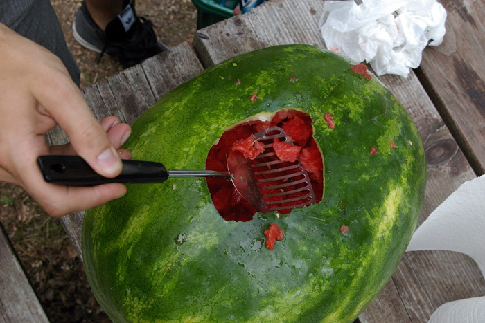 watermelon